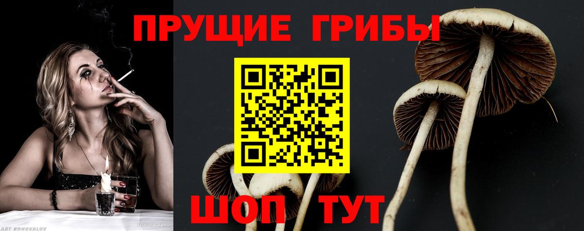 Галлюциногенные грибы Magic Shrooms  Вход с VPN  Сочи 